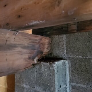 20220924_123705d4dbdd2eeecf432b